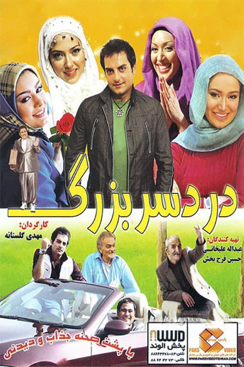 Постер: دردسر بزرگ