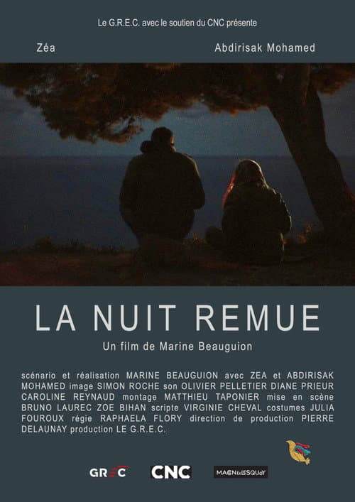 Постер: La nuit remue