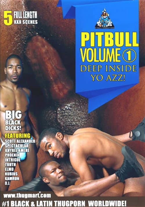 Постер: Pitbull 1: Deep Inside Yo Azz