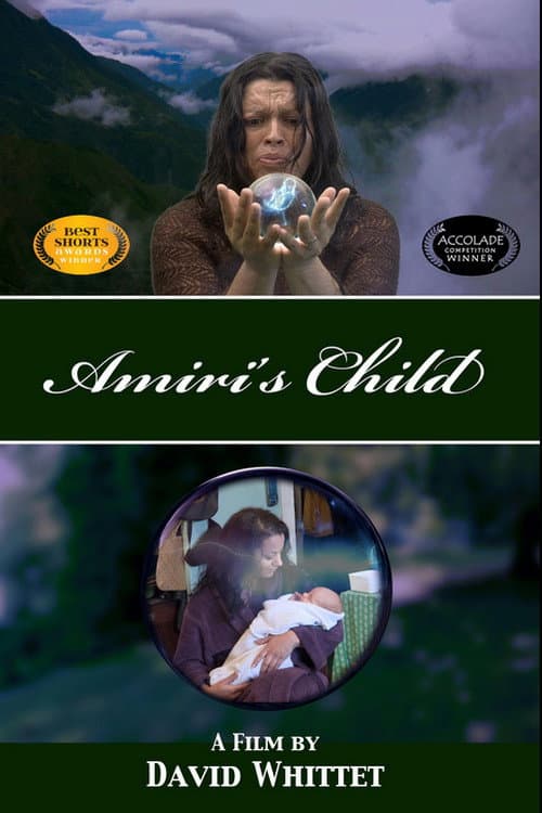 Постер: Amiri's Child
