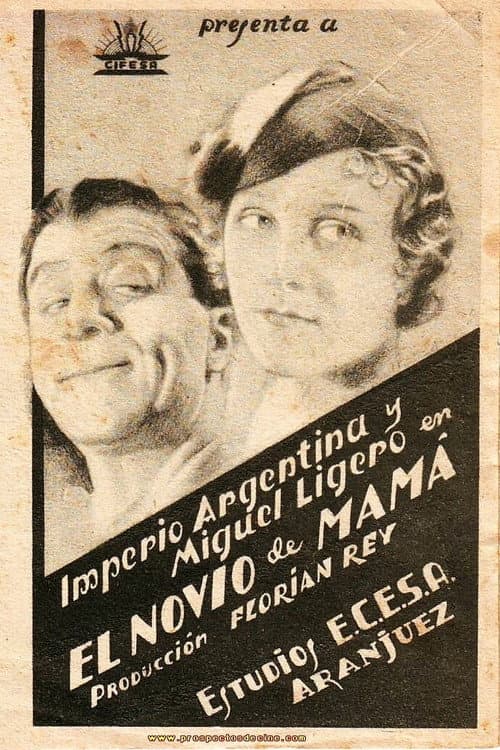 Постер: El novio de mamá