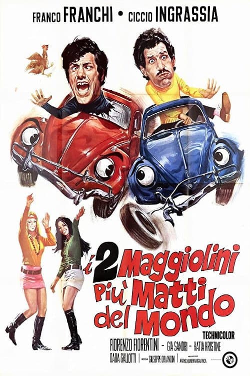 Постер: I due maggiolini più matti del mondo