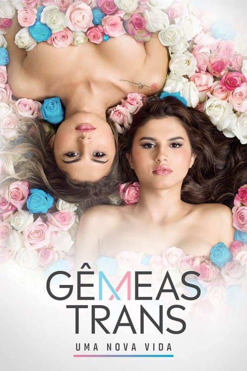 Постер: Gêmeas Trans: Uma Nova Vida