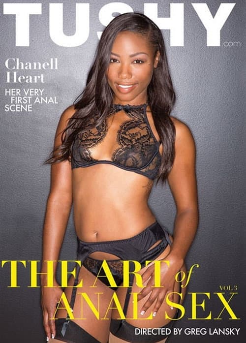 Постер: The Art of Anal Sex 3