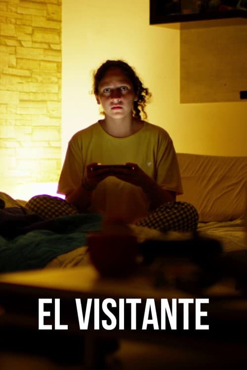 Постер: The Visitor