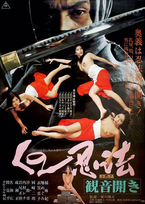 Постер: Kunoichi ninpo: Kannon biraki
