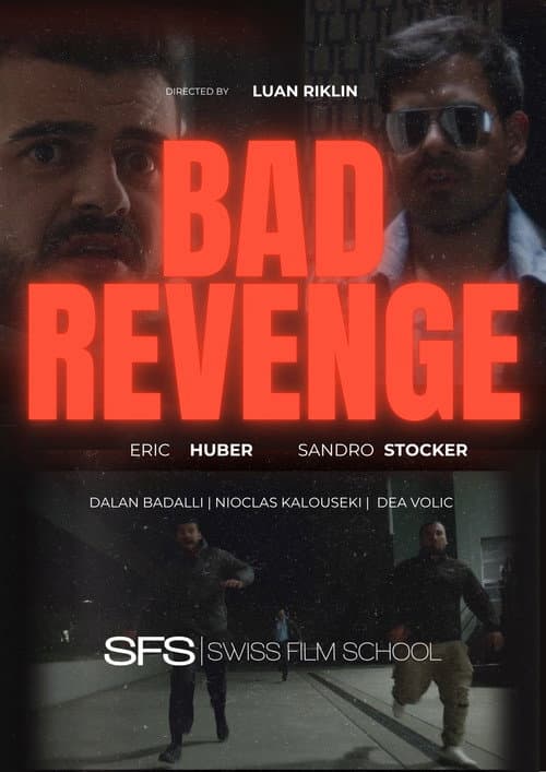Постер: Bad Revenge