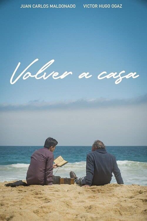 Постер: Volver a casa