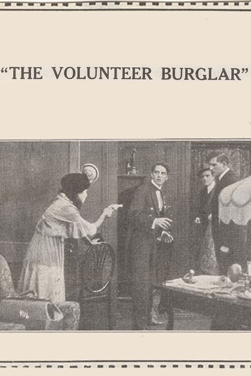 Постер: The Volunteer Burglar