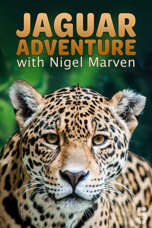 Постер: Jaguar Adventure With Nigel Marven