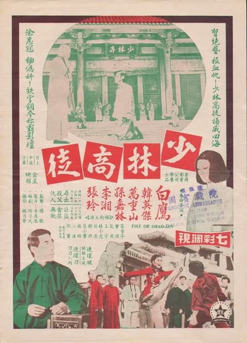 Постер: 少林高徒
