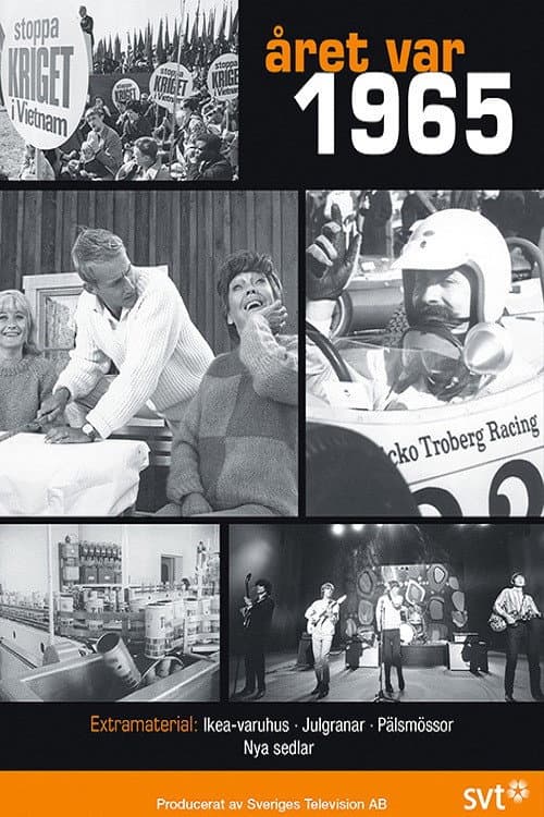 Постер: Året var 1965