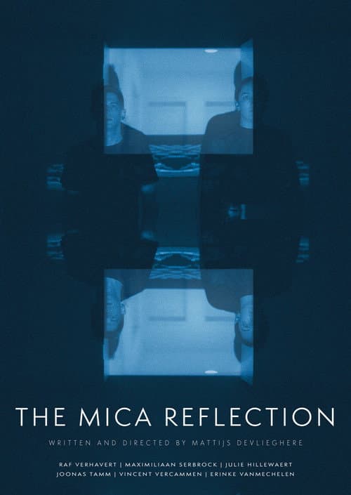 Постер: The mica reflection