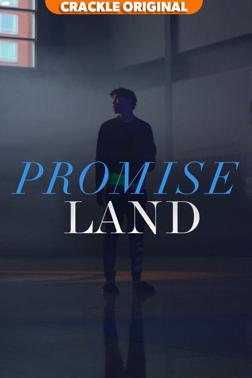 Постер: PROMISELAND