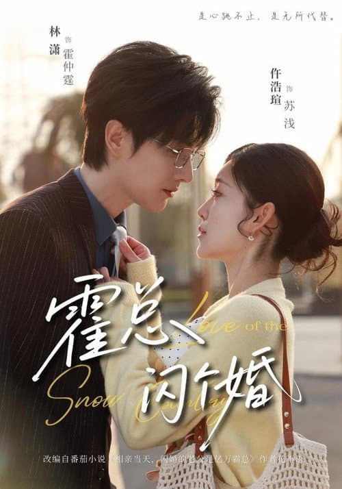 Постер: 霍总，闪个婚