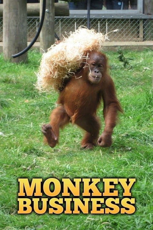 Постер: Monkey Business