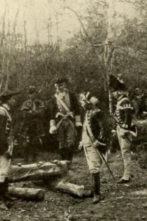 Постер: The Swamp Fox