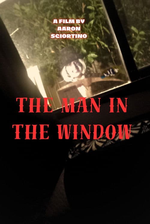 Постер: The man in the window