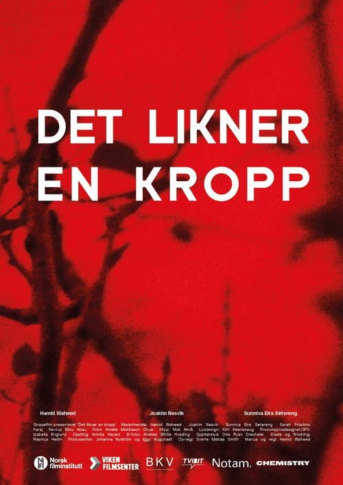 Постер: Det likner en kropp