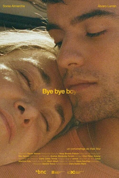 Постер: Bye Bye Boy