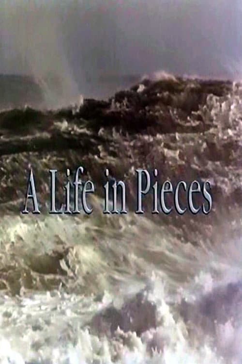 Постер: A Life In Pieces
