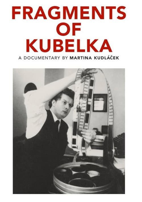 Постер: Fragments of Kubelka