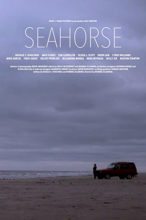 Постер: Seahorse
