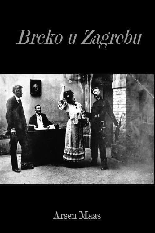 Постер: Brcko u Zagrebu