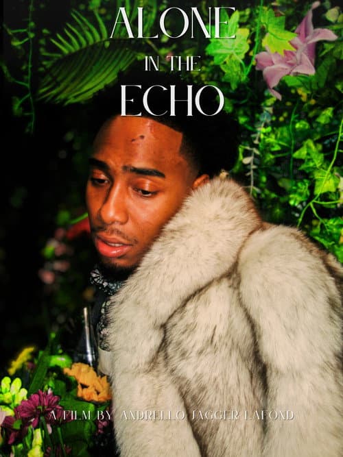 Постер: Alone in the Echo