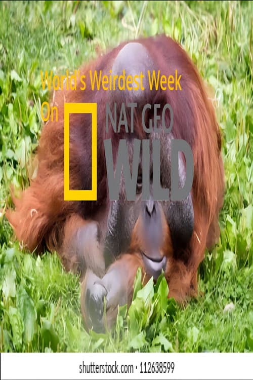 Постер: World's Weirdest Week