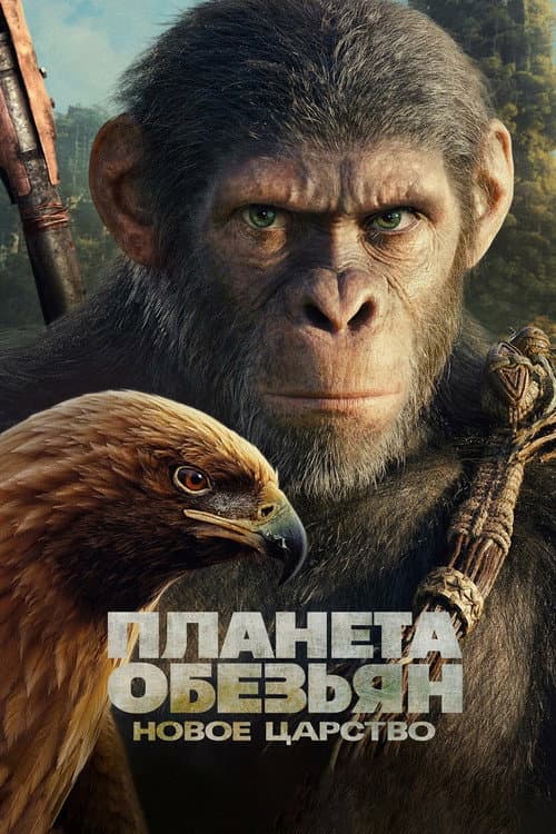 Постер 7