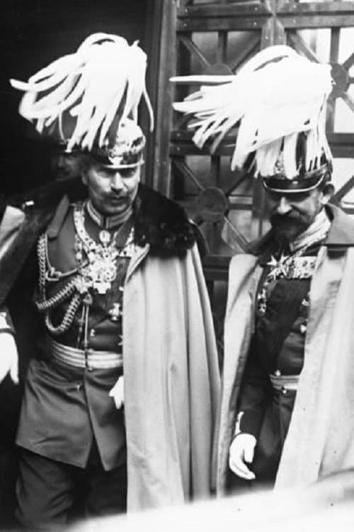 Постер: Réception de Guillaume II
