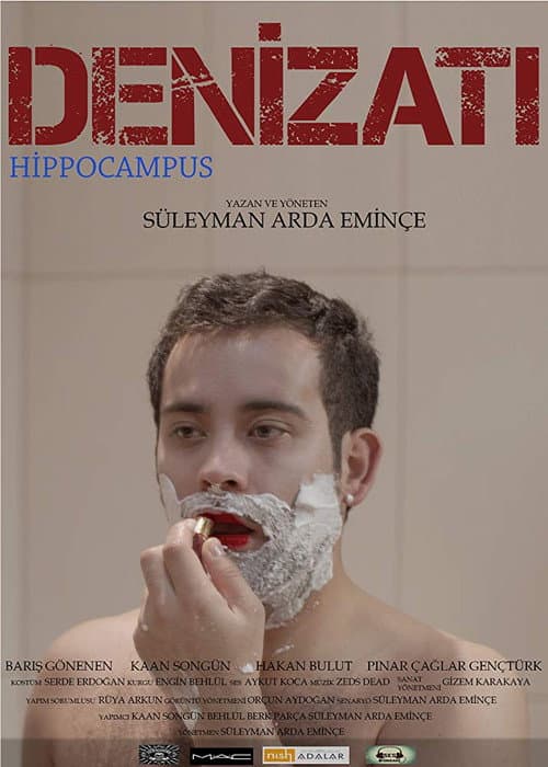 Постер: Denizatı