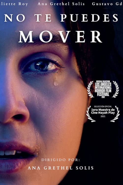 Постер: No Te Puedes Mover