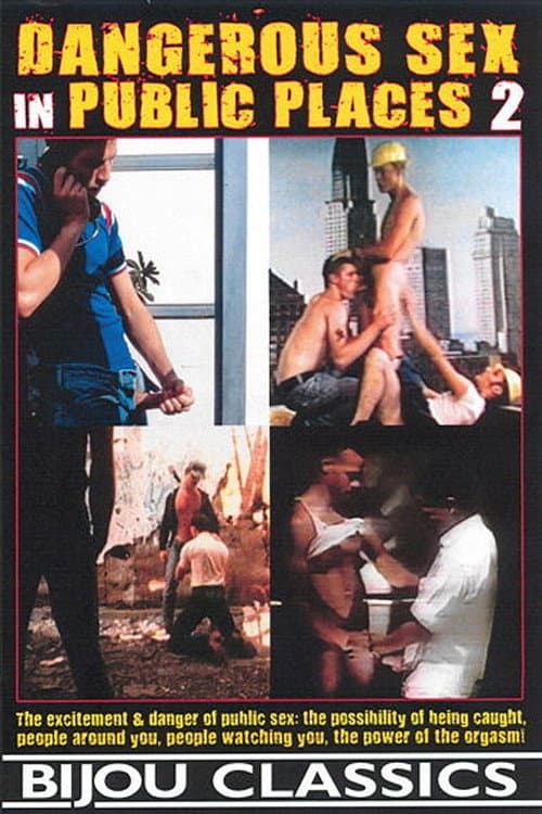 Постер: Dangerous Sex in Public Places 2
