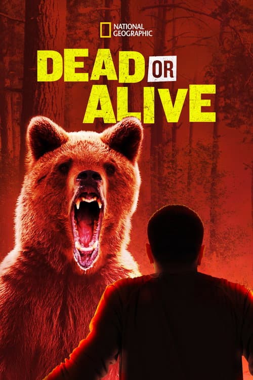 Постер: Dead or Alive