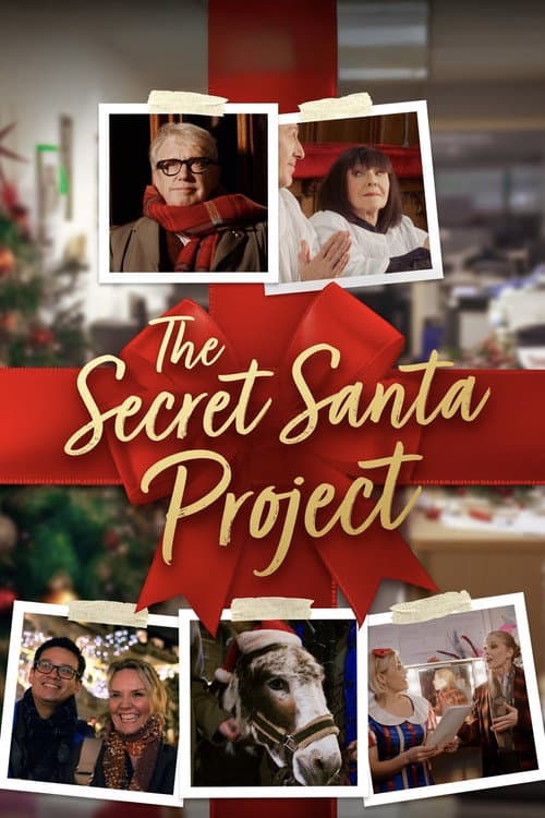 Постер: The Secret Santa Project