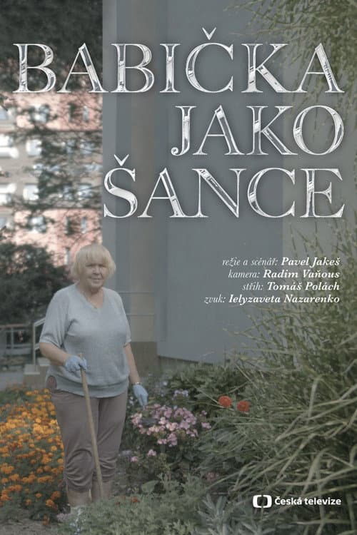 Постер: Babička jako Šance