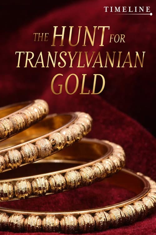 Постер: The Hunt for Transylvanian Gold