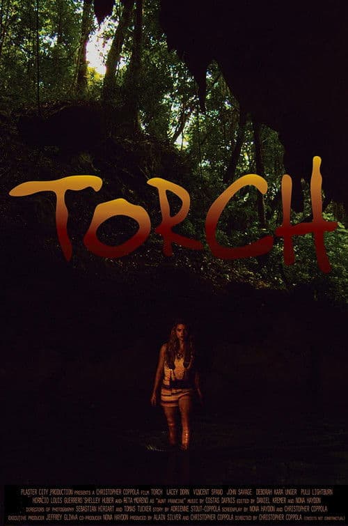 Постер: Torch