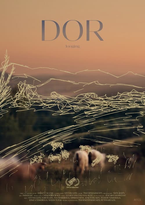 Постер: Dor
