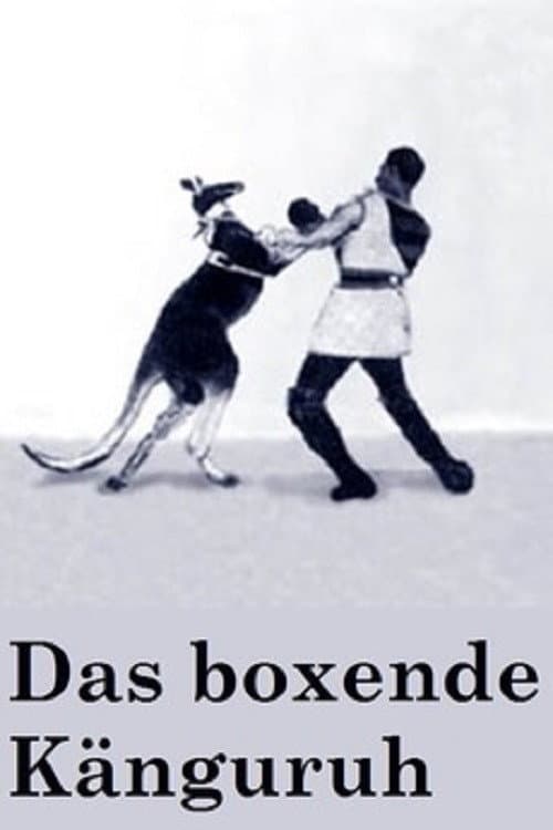 Постер: Das boxende Känguruh
