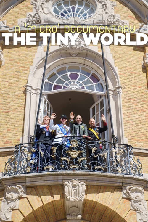 Постер: The Tiny World