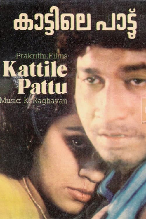Постер: Kaattile paattu