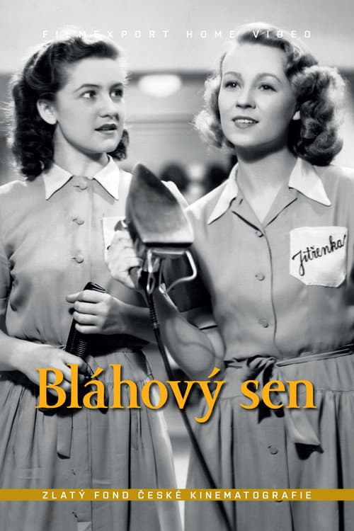 Постер: Bláhový sen