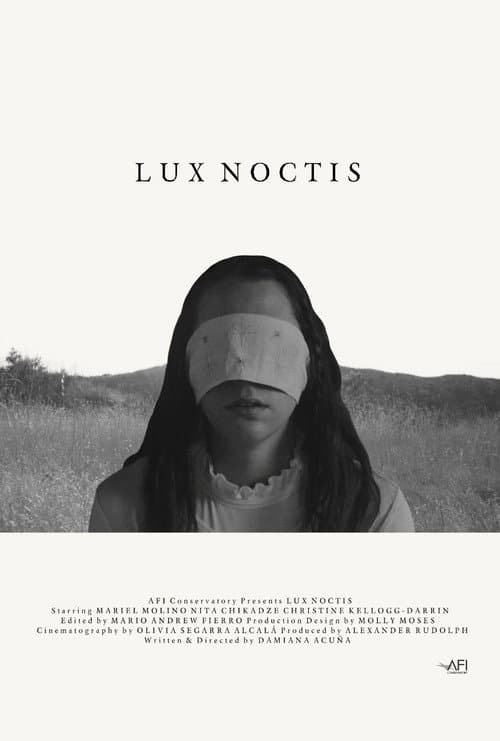 Постер: Lux Noctis
