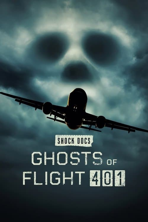 Постер: Ghosts of Flight 401