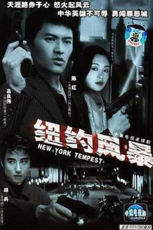 Постер: 纽约风暴