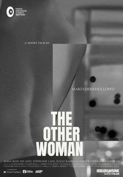 Постер: The Other Woman