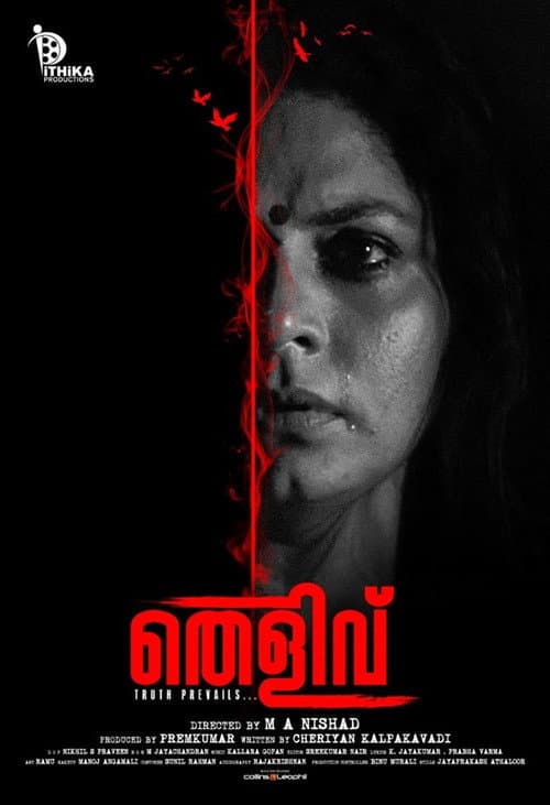 Постер: തെളിവ്